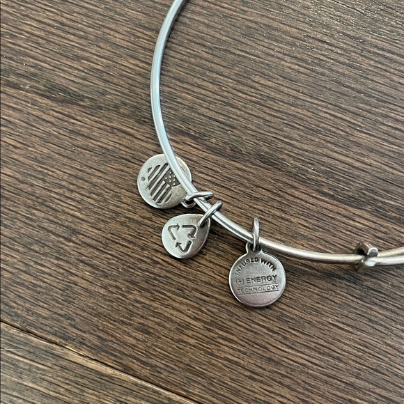 Alex and Ani Ladybug Bracelet - Picture 3 of 4